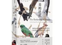 美的进化（pdf+epub+mobi+txt+azw3）