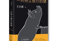 王小波全集pdf+epub+mobi+txt+azw3