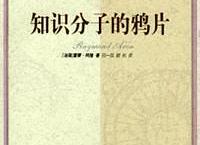 知识分子的鸦片「pdf+epub+mobi+txt+azw3」
