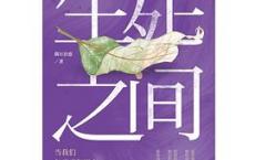 生死之间「pdf+epub+mobi+txt+azw3」