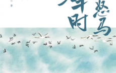 鲜衣怒马少年时「pdf-epub-mobi-txt-azw3」