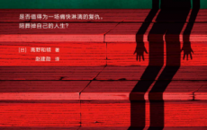 消失的13级台阶「pdf-epub-mobi-txt-azw3」