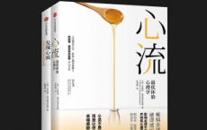 心流+发现心流「pdf-epub-mobi-txt-azw3」