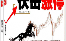 伏击涨停+涨停密码「pdf-epub-mobi-txt-azw3」