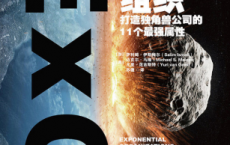 指数型组织：打造独角兽公司的11个最强属性「pdf-epub-mobi-txt-azw3」