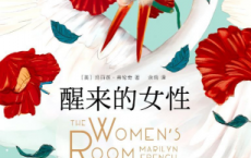 醒来的女性「pdf-epub-mobi-txt-azw3」