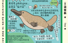 奇怪的生物图鉴「pdf-epub-mobi-txt-azw3」