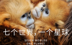 七个世界，一个星球「pdf-epub-mobi-txt-azw3」