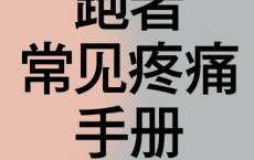 跑者常见疼痛手册「pdf-epub-mobi-txt-azw3」
