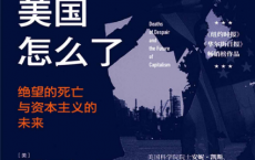 美国怎么了：绝望的死亡与资本主义的未来「pdf-epub-mobi-txt-azw3」