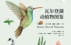 瓦尔登湖动植物图鉴：动物篇+植物篇（2册）「pdf-epub-mobi-txt-azw3」