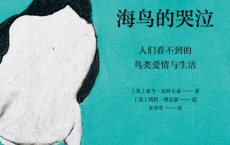 海鸟的哭泣「pdf-epub-mobi-txt-azw3」
