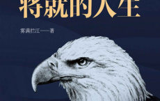 我拒绝将就的人生「pdf-epub-mobi-txt-azw3」