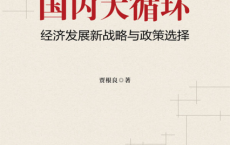 国内大循环：经济发展新战略与政策选择「pdf-epub-mobi-txt-azw3」