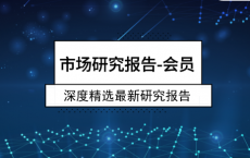 《市场研究报告-年度VIP会员》「pdf-epub-mobi-txt-azw3」