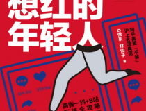 那些想红的年轻人「pdf-epub-mobi-txt-azw3」