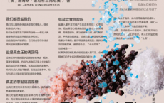 被误解的盐：你可能需要吃咸点「pdf-epub-mobi-txt-azw3」