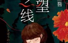 希望之线「pdf-epub-mobi-txt-azw3」