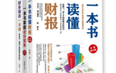 一本书掌握财务技巧「pdf-epub-mobi-txt-azw3」	