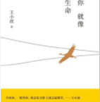 爱你就像爱生命「pdf-epub-mobi-txt-azw3」