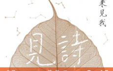 诗来见我「pdf-epub-mobi-txt-azw3」