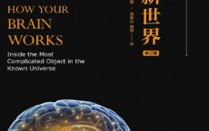科学速读：脑内新世界「pdf-epub-mobi-txt-azw3」