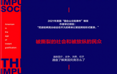 冲动的美国「pdf-epub-mobi-txt-azw3」