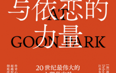 爱与依恋的力量：20世纪最伟大的心理学实验「pdf-epub-mobi-txt-azw3」