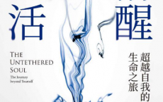 清醒地活 超越自我的生命之旅「pdf-epub-mobi-txt-azw3」