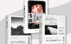 孤独的文艺「pdf-epub-mobi-txt-azw3」
