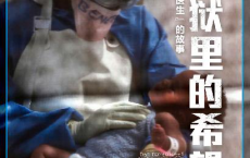 地狱里的希望「pdf-epub-mobi-txt-azw3」