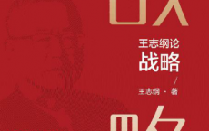 王志纲论战略 关键阶段的重大抉择「pdf-epub-mobi-txt-azw3」