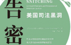 告密 : 美国司法黑洞「pdf-epub-mobi-txt-azw3」