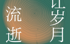 经纬度丛书·不让岁月空流逝：雷颐读史笔记「pdf-epub-mobi-txt-azw3」