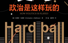 硬球：政治是这样玩的「pdf-epub-mobi-txt-azw3」
