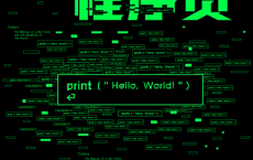 天才程序员：技术狂人如何改变世界「pdf-epub-mobi-txt-azw3」