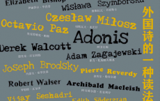 诗想者 地平线上的诗流：外国诗的一种读法「pdf-epub-mobi-txt-azw3」