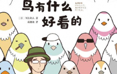 鸟有什么好看的「pdf-epub-mobi-txt-azw3」