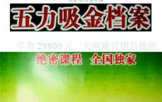 《五力吸金档案》pdf
