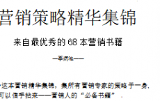 《营销策略精华集锦》pdf