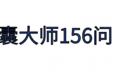 《智囊大师156问》pdf