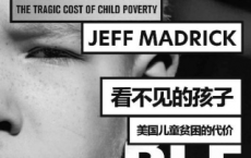 看不见的孩子：美国儿童贫困的代价「pdf-epub-mobi-txt-azw3」