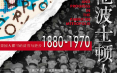 其他波士顿人：美国大都市的贫穷与进步1880-1970「pdf-epub-mobi-txt-azw3」