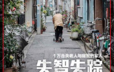 失智失踪：1万走失老人与痛苦的家人「pdf-epub-mobi-txt-azw3」