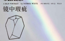 镜中瑕疵「pdf-epub-mobi-txt-azw3」
