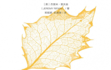 韧性时代：重新思考人类的发展与进化「pdf-epub-mobi-txt-azw3」