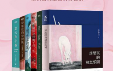 隐形的女性.套装（全6册）「pdf-epub-mobi-txt-azw3」