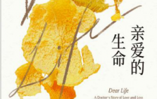 亲爱的生命「pdf-epub-mobi-txt-azw3」