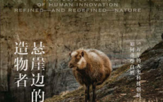 悬崖边的造物者「pdf-epub-mobi-txt-azw3」