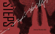 暗室手册「pdf-epub-mobi-txt-azw3」